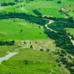 Redução de emissão de gases de efeito estufa na agropecuária é discutida em oficina do ABC+ Rondônia