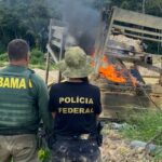 Polícia Federal de Rondônia deflagra operação Murici contra crimes ambientais em terra indígena